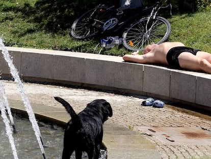 Un hombre toma el sol en un parque con su perro.