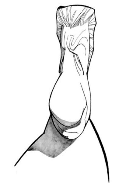 SCIAMMARELLA