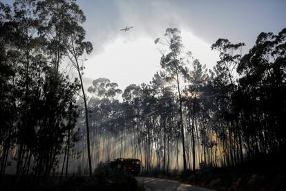 Portugal activó el Mecanismo Europeo de Protección Civil para solicitar asistencia de emergencia en la zona central del país y recibió la ayuda de dos aviones anfibios procedentes de España, que se sumaron a los 60 del dispositivo luso. En la imagen, medios aéreos trabajan en el incendio de Cruzinha, Alvaiazere, el 10 de julio.  

 
