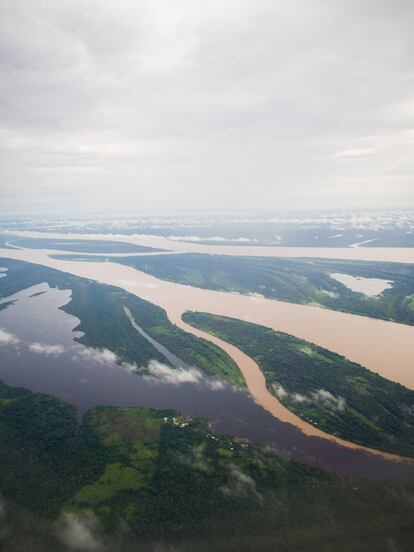 La inexistencia de infraestructura y la magnitud de la selva amazónica, cuyo territorio es equivalente a Europa occidental, dificulta el conocimiento de su extraordinaria biodiversidad, con aproximadamente un 15% de todas las especies terrestres.