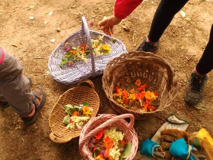 Frutas y flores recogidas en el campo.