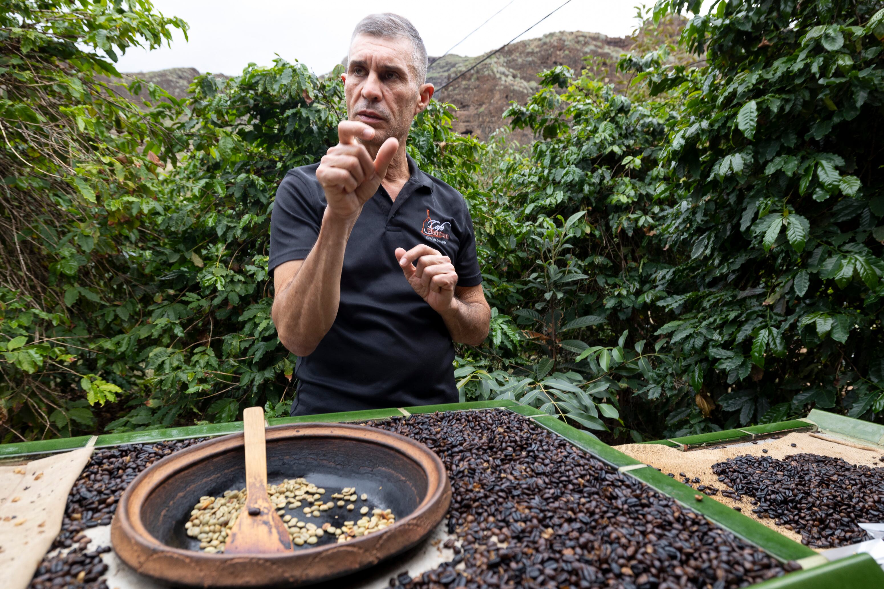 Santiago Lugo, en el cafetal que ha desarrollado en una finca de su familia en el valle de Agaete. QUIQUE CURBELO