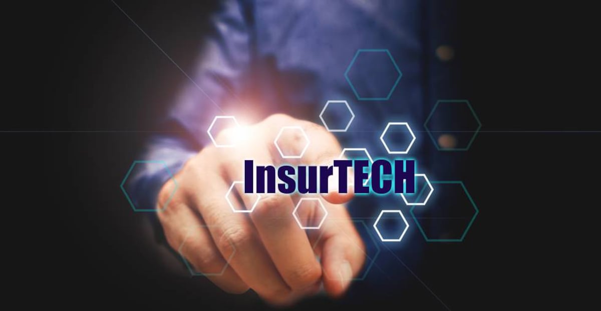 Testudo Insurtech ¿Hasta dónde transformará el seguro el ‘insurtech’? | Opinión | Cinco Días