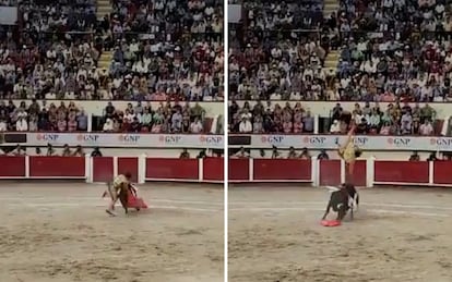 El torero 'Joselito' Adame es cornado durante una corrida de la Feria de San Marcos, en Aguascalientes