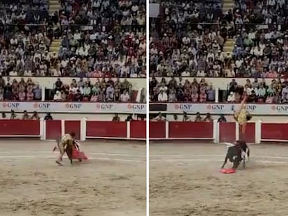 El torero 'Joselito' Adame es cornado durante una corrida de la Feria de San Marcos, en Aguascalientes