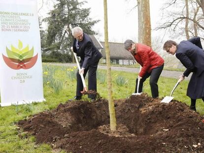 Plantación de un árbol durante una reunión del Desafío de Bonn, en 2015.