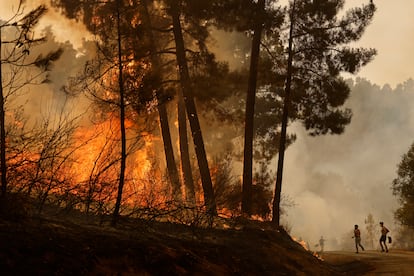 Locales y voluntarios intentan apagar una gran llamarada en el incendio en Larouco, este miércoles.