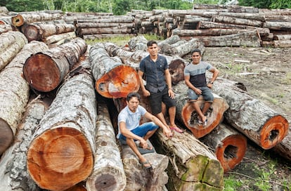 Extrativistas que trabalham no plano de manejo florestal sustentável: Elivaldo Ribeiro, Rosilei Barbosa Pimentel e Romildo Pimentel.                                                                                        