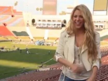 La cantante Shakira.