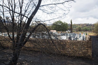 Terreno quemado junto al cementerio de Otero de Bodas (Zamora).