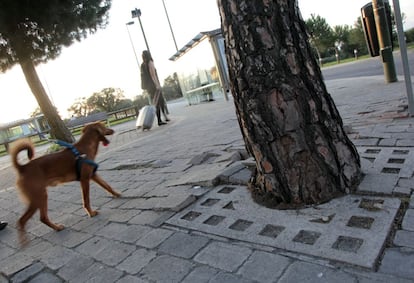 Pavimento en mal estado en la calle de San Manuel, junto a la Casa de Campo (distrito de Moncloa-Aravaca).