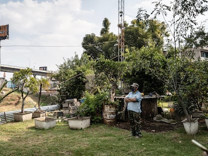 Un predio ubicado en Anillo Periférico, en la Colonia Pueblo Quieto de Ciudad de México. El terreno fue asegurado por la Fiscalía de Investigación en Delitos Ambientales y en Materia de Protección Urbana.