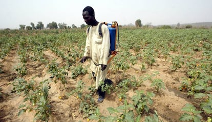 Un hombre roc&iacute;a sus cultivos con pesticidas en Buruku (Nigeria).