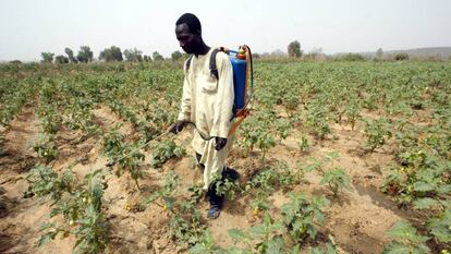 Un hombre roc&iacute;a sus cultivos con pesticidas en Buruku (Nigeria).
