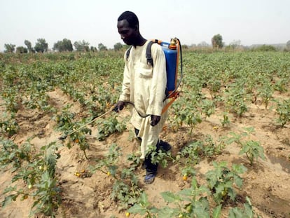 Un hombre roc&iacute;a sus cultivos con pesticidas en Buruku (Nigeria).