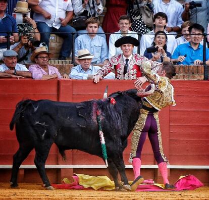 Momento en que el quinto novillo prende a Calerito por la axila izquierda.