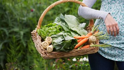 Por qué los alimentos ecológicos triunfan en la cesta de la compra