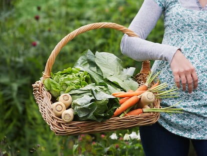 Por qué los alimentos ecológicos triunfan en la cesta de la compra