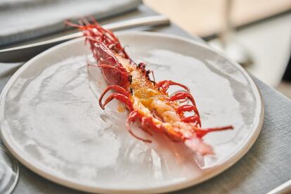 Sobresalen platos como las alcachofas mini con berberechos y un consomé de jamón Joselito, un carabinero asado con manteca y sabayón de sobrasada de cerdo negro o un pescado a la brasa con pilpil del bosque y hierbas halófilas. A mediodía, los platos fuertes son los arroces, que también bordan en Cañitas Maite. Ofrecen cuatro: de verduritas del huerto (32 euros), de gamba blanca de la isla y alcachofa (38 euros), de txuleta de rubia gallega madurada 120 días (42 euros), y uno magnífico de ibéricos Joselito, con costilla, chichas y papada (36 euros).