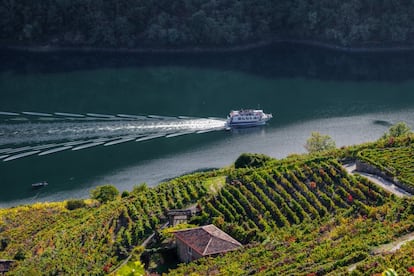 Crucero surcando el río Sil, en la Ribeira Sacra.