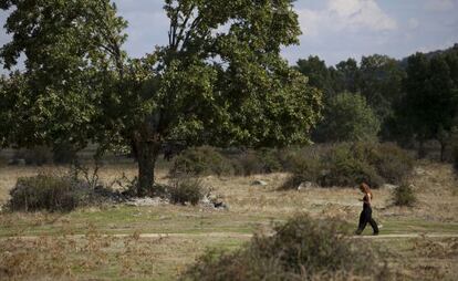 Terrenos en los que está previsto construir el campo de golf.