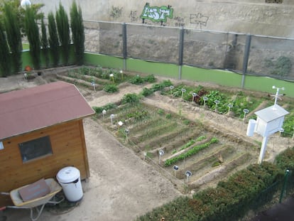 Huerto ecológico del colegio Manuel Riquelme de Hurchillos (Orihuela, Alicante).