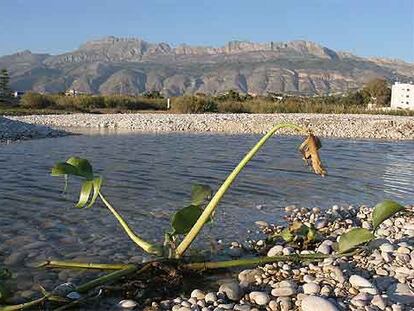 Desembocadura del río Algar, en Altea, donde se prevé la construcción de 5.000 viviendas.