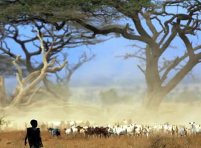 Un niño masai en el parque nacional de Amboseli, Kenia.