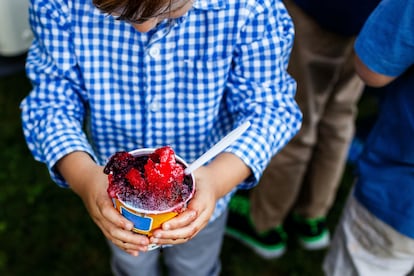 Un niño sujeta un sorbete de frutos rojos.