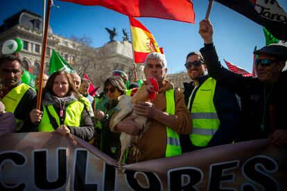 Agricultores de varios puntos de España se manifiestan este lunes en las calles de la capital.