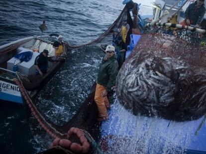 El consumo de pescado en el mundo ha crecido un 32% desde 1990.