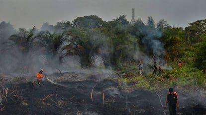 Bomberos apagan un incendio en una plantación de aceite de palma, en Pekanbaru, en Indonesia.