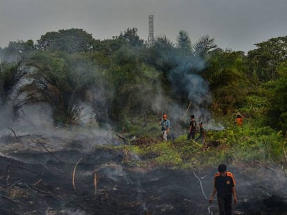 Bomberos apagan un incendio en una plantación de aceite de palma, en Pekanbaru, en Indonesia.