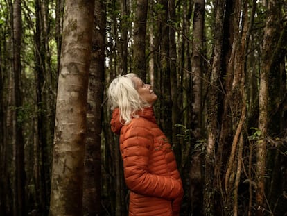 La estadounidense Kristine Tompkins en medio del bosque del Parque Nacional Pumalín, en el sur de Chile.