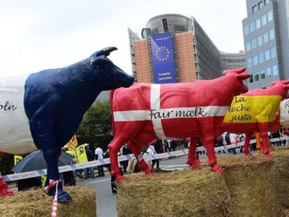 Miles de agricultores protestan en Bruselas por el bajo precio de la leche.