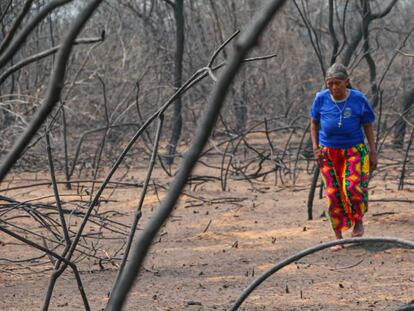 Una mujer camina entre los restos de los incendios de 2019 en El Chaco (Paraguay).