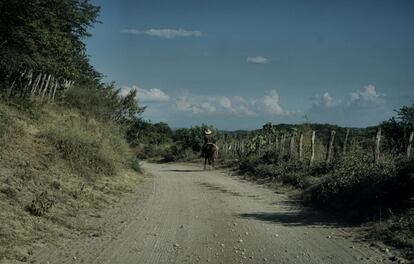 Un camino de la sierra en Sinaloa.