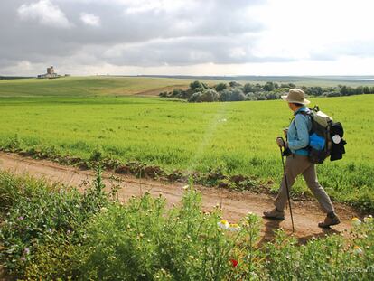 Los cuatro peligros del caminante