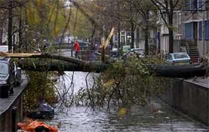 Un árbol caído bloquea un canal de Amsterdam.