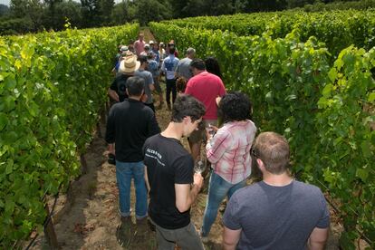 Sonoma es una región vitivinícola auténtica y singular, donde se pueden probar los nuevos vinos directamente de la barrica en un cobertizo con tejado de zinc. Por ejemplo, de un zinfandel de vendimia tardía con una ración de helado de chocolate blanco regado con aceite de oliva ecológico. En Sonoma las convenciones no sirven. Todo tiene un estilo sencillo que vive a otro ritmo: sus lugareños lo llaman 'Slow-noma' y la ciudad de Sonoma es la base perfecta para explorar el Wine Country lleno de rincones de interés históricos del sigo XIX.