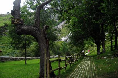 Al otro lado de los Collados del Asón, al pie de la estirada Peña Becerra, el torrente que da inicio al vecino (y afluente) río Gándara emerge desde las entrañas de la ladera. Junta sus aguas con las del Asón en Ramales de la Victoria, dibujando ambos cauces un anillo casi perfecto por el que discurren multitud de rutas senderistas coloreadas de verde