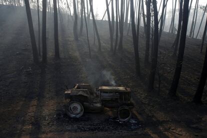 El avance de las llamas ha obligado a evacuar la aldea de Cadafaz, en Góis, donde residen casi dos centenares de personas, en tanto que otras poblaciones han sido desalojadas durante la noche "por precaución", sobre todo, ancianos. En la imagen, un tractor quemado entre árboles en la localidad portuguesa de Castanheira de Pera.