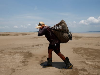 Sequía en el Amazonas