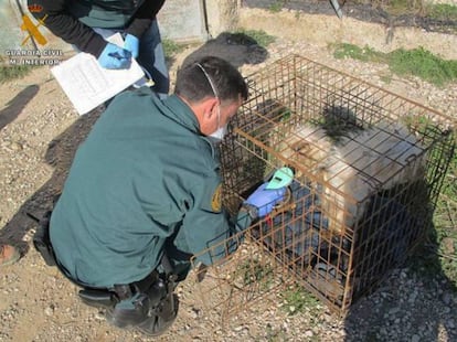 Un agente de la Guardia Civil, con uno de los perros rescatados en un criadero ilegal de El Burgo de Ebro.