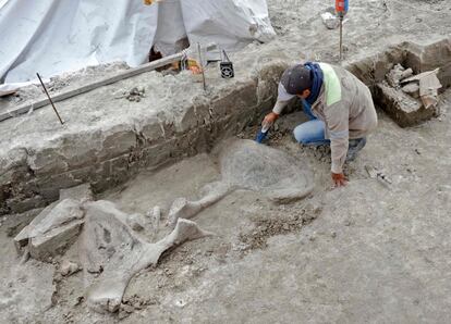 Un experto trabaja con los huesos de mamut en Tultepec. Las excavaciones hablan por primera vez de la forma en la que los pobladores de hace 15.000 años se relacionaban con estos animales y cómo los cazaban con el fin de alimentarse.