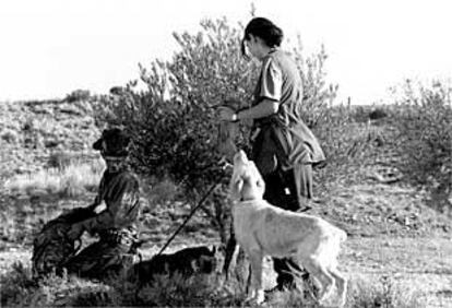 Dos cazadores, con sus perros, en un coto de la zona de Villaconejos, en una imagen de archivo.