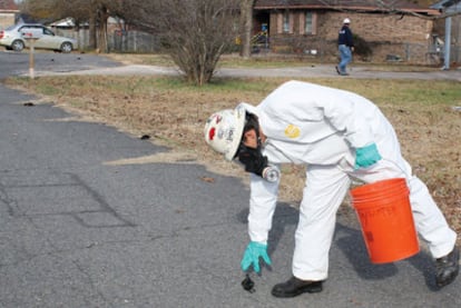 Un operario recoge aves muertas en Beebe (Arkansas).