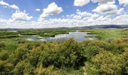 Parque Nacional de Las Tablas de Daimiel.