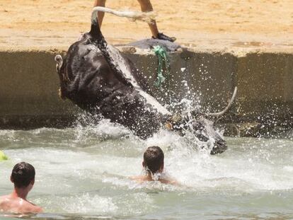 A bull ends up in the sea during Dénia's local summer festivities.