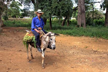 Para campesinos locales como Steven, la pérdida de las tierras y las formas tradicionales de agricultura podrían causar un segundo desplazamiento después del padecido durante la guerra. En la imagen, un campesino montemariano.
